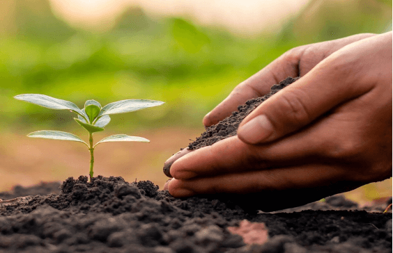 The improvement effect of Humic Acid on soil - physical effect.jpg The improvement effect of Humic Acid on soil - physical effect.jpg