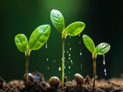 The effect of humic acid on soil improvement