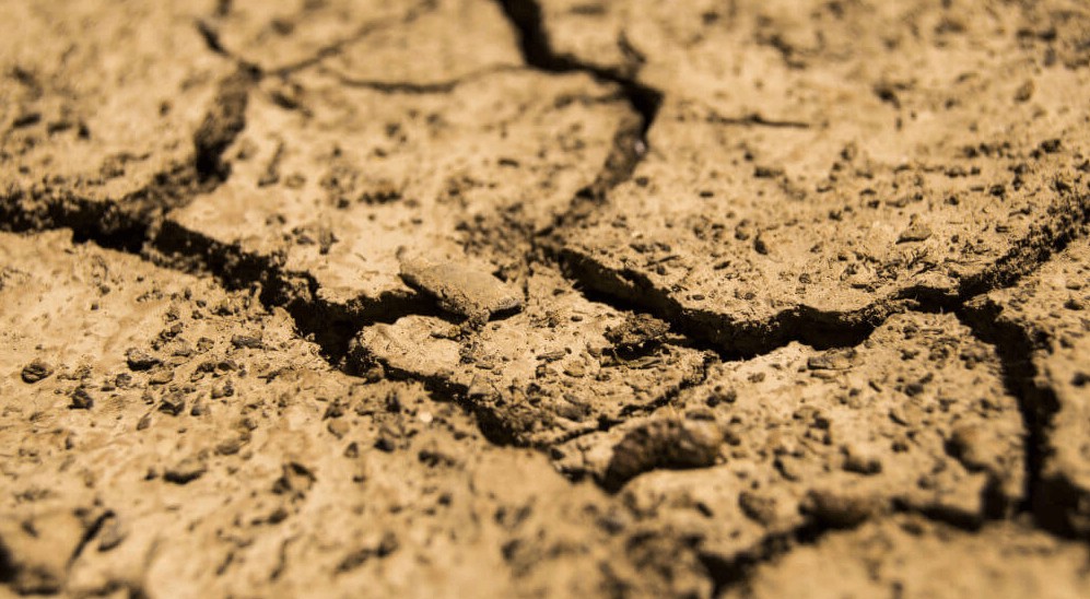 Acidified Soil.jpg Acidified Soil.jpg