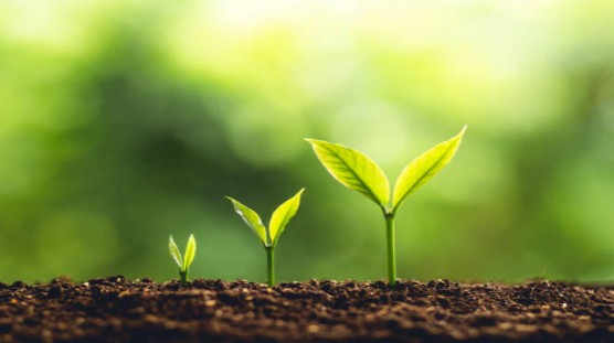 The improvement effect of Humic Acid on soil - physical effect.jpg The improvement effect of Humic Acid on soil - physical effect.jpg