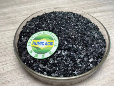 The promoting effect of fulvic acid on plant growth and its application in agricultural production