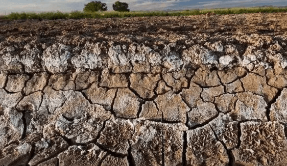Saline-alkali Land.jpg Saline-alkali Land.jpg