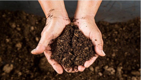 The improvement effect of Humic Acid on soil - physical effect.jpg The improvement effect of Humic Acid on soil - physical effect.jpg