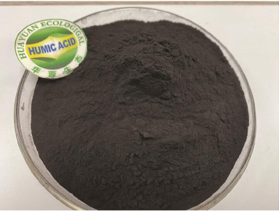 Oganic Humic Acid Powder 70%