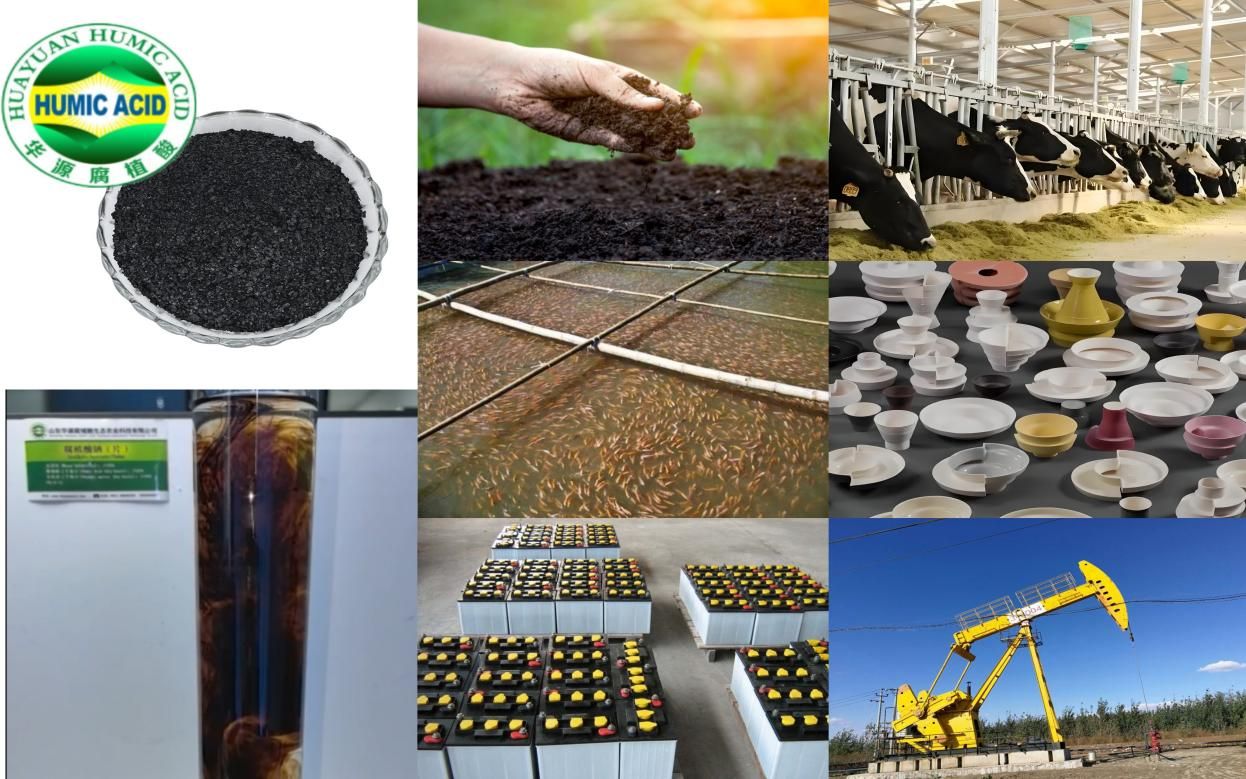 Big Discount Sodium Humate In Stock.jpg Big Discount Sodium Humate In Stock.jpg